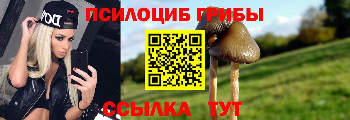 Реж  Галлюциногенные грибы ЛСД  Вход с VPN 