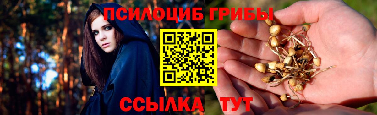 Галлюциногенные грибы прущие грибы Реж